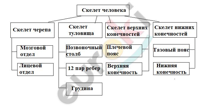 A picture containing text, screenshot, font, diagram Description automatically generated