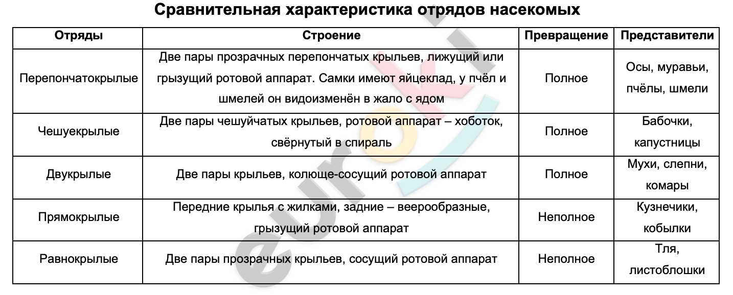 Таблицa по биологии 7 класс Отряды насекомых