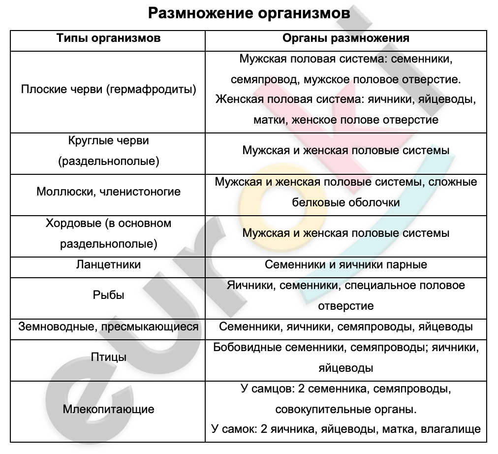 Таблицa по биологии 7 класс Размножение организмов