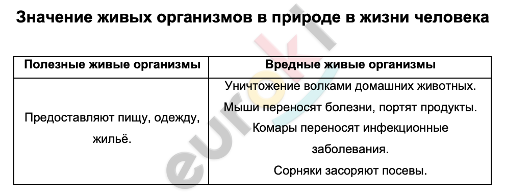 Таблицa по биологии 6 класс Значение живых организмов в природе в жизни человека