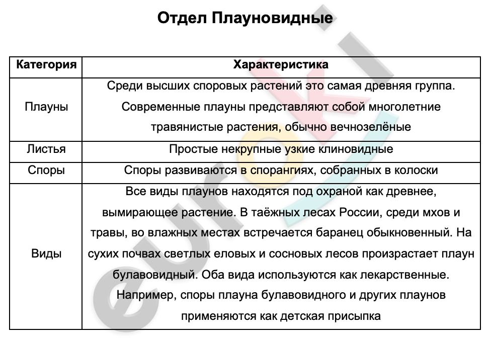 Таблицa по биологии 6 класс Отдел Плауновидные