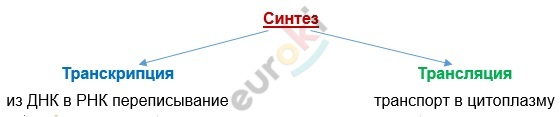 A picture containing chart Description automatically generated