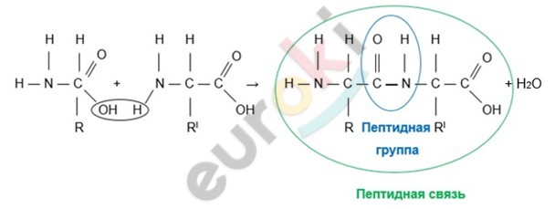 Diagram Description automatically generated