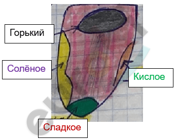 Изображение выглядит как зарисовка, рисунок, Детское искусство, искусство Автоматически созданное описание