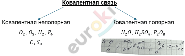 Изображение выглядит как текст, Шрифт, линия, снимок экрана Автоматически созданное описание